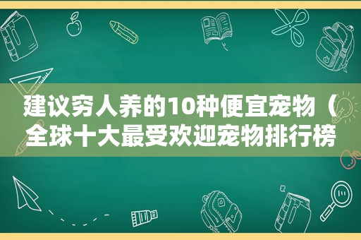 建议穷人养的10种便宜宠物（全球十大最受欢迎宠物排行榜）