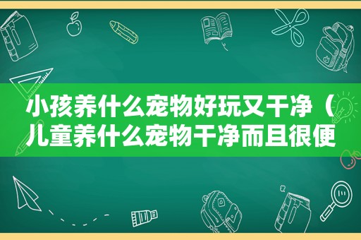 小孩养什么宠物好玩又干净（儿童养什么宠物干净而且很便宜）