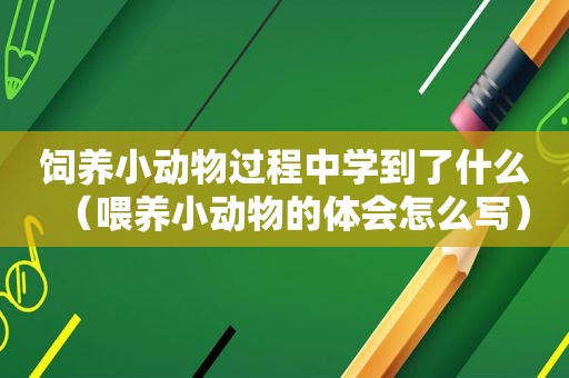 饲养小动物过程中学到了什么（喂养小动物的体会怎么写）