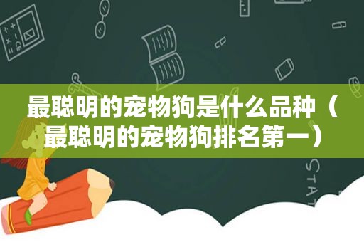 最聪明的宠物狗是什么品种（最聪明的宠物狗排名第一）