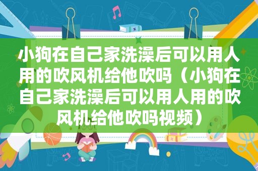 小狗在自己家洗澡后可以用人用的吹风机给他吹吗（小狗在自己家洗澡后可以用人用的吹风机给他吹吗视频）