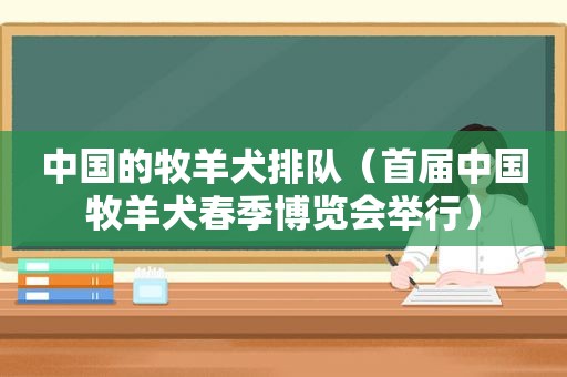 中国的牧羊犬排队（首届中国牧羊犬春季博览会举行）