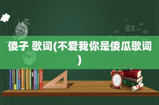 傻子 歌词(不爱我你是傻瓜歌词)