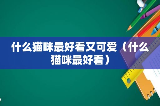 什么猫咪最好看又可爱（什么猫咪最好看）