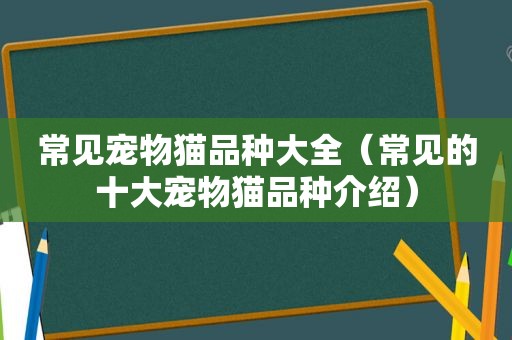 常见宠物猫品种大全（常见的十大宠物猫品种介绍）