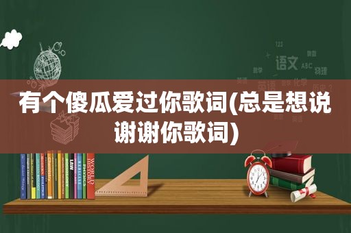 有个傻瓜爱过你歌词(总是想说谢谢你歌词)