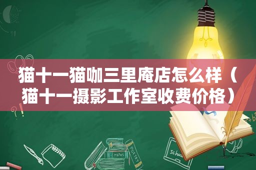 猫十一猫咖三里庵店怎么样（猫十一摄影工作室收费价格）