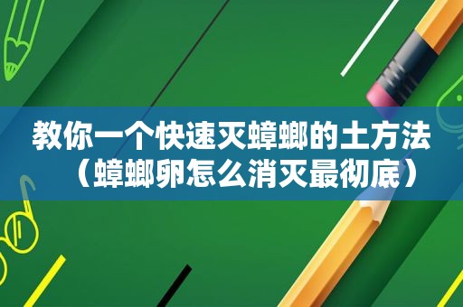 教你一个快速灭蟑螂的土方法（蟑螂卵怎么消灭最彻底）