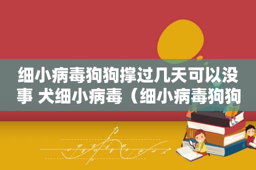 细小病毒狗狗撑过几天可以没事 犬细小病毒（细小病毒狗狗撑过几天可以没事）