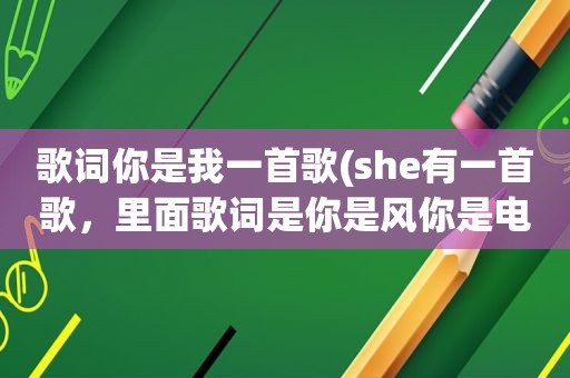 歌词你是我一首歌(she有一首歌，里面歌词是你是风你是电，你是唯一的神话，我只爱你……。这是什么歌名啊)