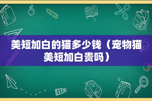 美短加白的猫多少钱（宠物猫美短加白贵吗）