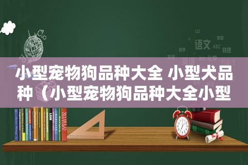 小型宠物狗品种大全 小型犬品种（小型宠物狗品种大全小型犬品种）