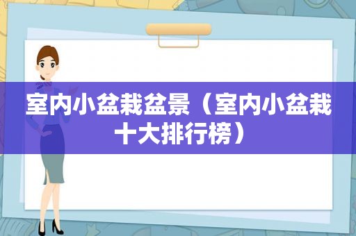 室内小盆栽盆景（室内小盆栽十大排行榜）