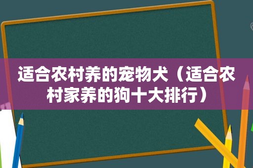 适合农村养的宠物犬（适合农村家养的狗十大排行）