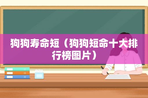 狗狗寿命短（狗狗短命十大排行榜图片）