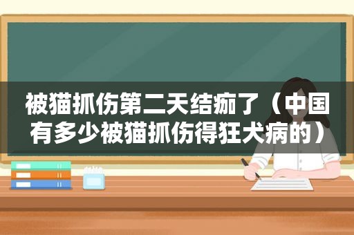 被猫抓伤第二天结痂了（中国有多少被猫抓伤得狂犬病的）