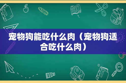 宠物狗能吃什么肉（宠物狗适合吃什么肉）