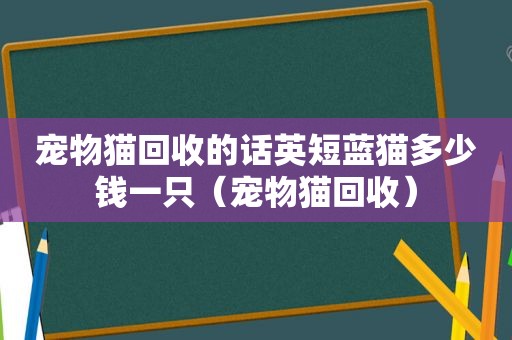 宠物猫回收的话英短蓝猫多少钱一只（宠物猫回收）