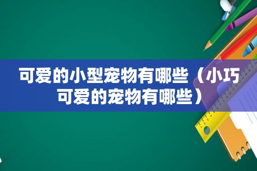 可爱的小型宠物有哪些（小巧可爱的宠物有哪些）