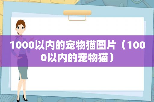 1000以内的宠物猫图片（1000以内的宠物猫）