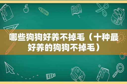 哪些狗狗好养不掉毛（十种最好养的狗狗不掉毛）