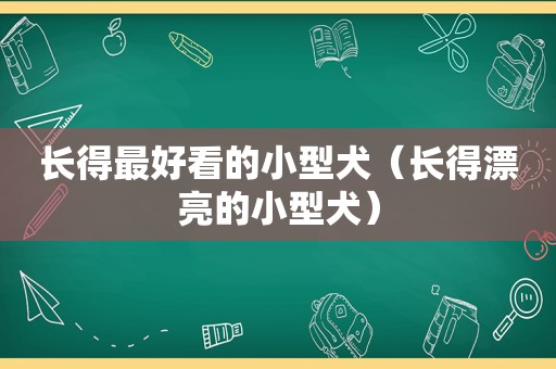 长得最好看的小型犬（长得漂亮的小型犬）