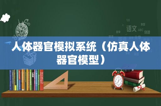 人体器官模拟系统（仿真人体器官模型）