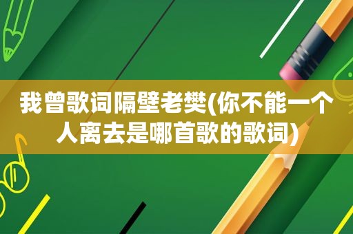 我曾歌词隔壁老樊(你不能一个人离去是哪首歌的歌词)