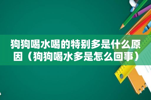 狗狗喝水喝的特别多是什么原因（狗狗喝水多是怎么回事）