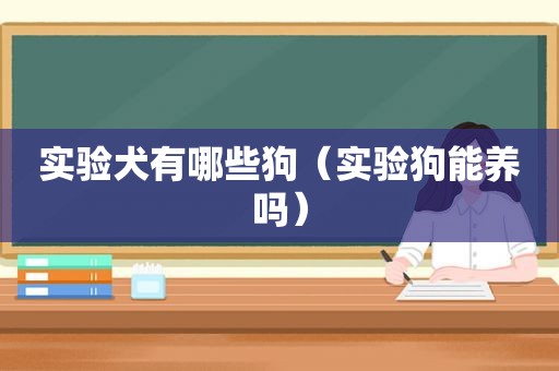 实验犬有哪些狗（实验狗能养吗）