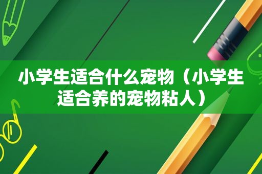 小学生适合什么宠物（小学生适合养的宠物粘人）