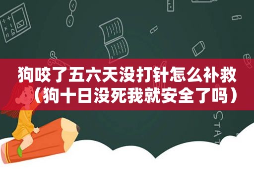 狗咬了五六天没打针怎么补救（狗十日没死我就安全了吗）