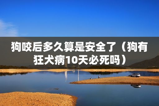 狗咬后多久算是安全了（狗有狂犬病10天必死吗）