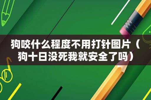 狗咬什么程度不用打针图片（狗十日没死我就安全了吗）