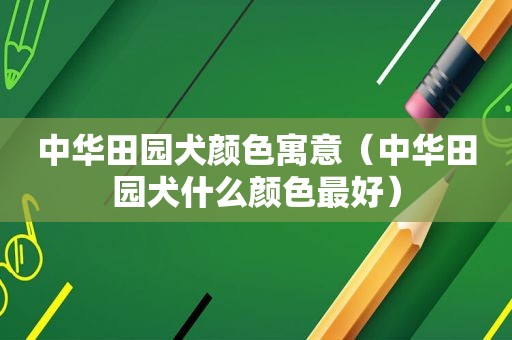 中华田园犬颜色寓意（中华田园犬什么颜色最好）