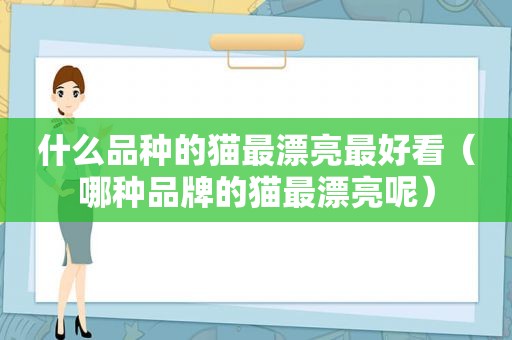 什么品种的猫最漂亮最好看（哪种品牌的猫最漂亮呢）