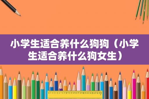 小学生适合养什么狗狗（小学生适合养什么狗女生）