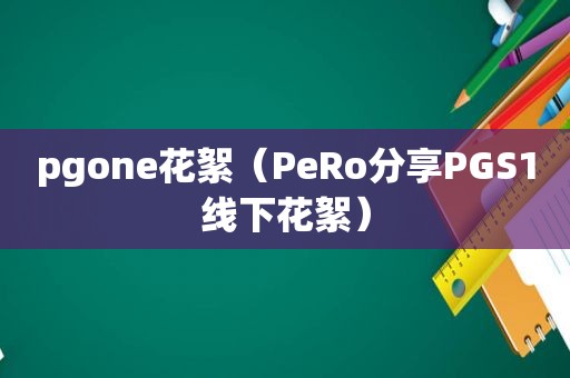 pgone花絮（PeRo分享PGS1线下花絮）