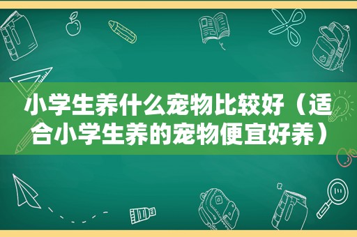 小学生养什么宠物比较好（适合小学生养的宠物便宜好养）