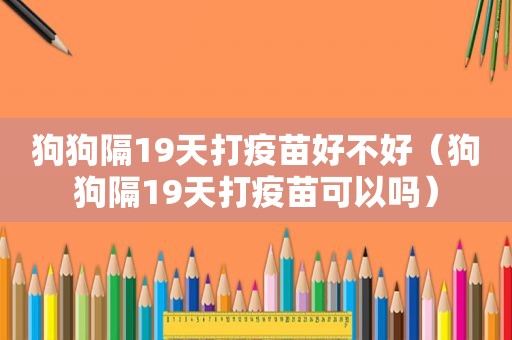 狗狗隔19天打疫苗好不好（狗狗隔19天打疫苗可以吗）