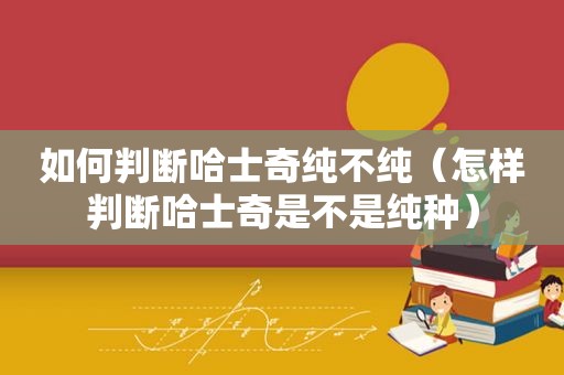 如何判断哈士奇纯不纯（怎样判断哈士奇是不是纯种）