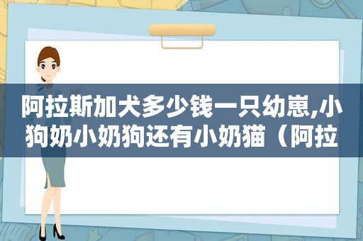 阿拉斯加犬多少钱一只幼崽,小狗奶小奶狗还有小奶猫（阿拉斯加犬多少钱一只幼崽）