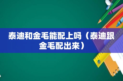 泰迪和金毛能配上吗（泰迪跟金毛配出来）