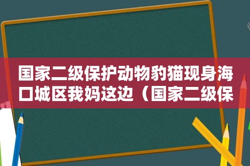 国家二级保护动物豹猫现身海口城区我妈这边（国家二级保护动物豹猫）