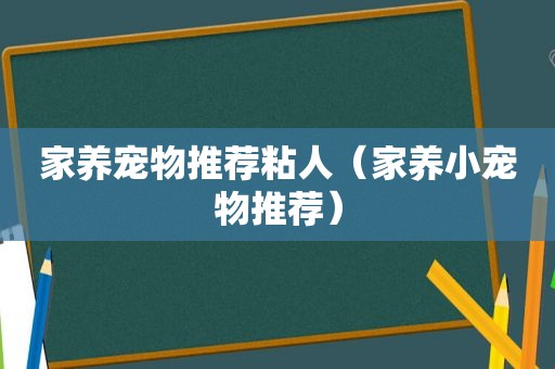 家养宠物推荐粘人（家养小宠物推荐）