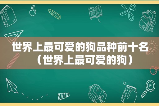 世界上最可爱的狗品种前十名（世界上最可爱的狗）