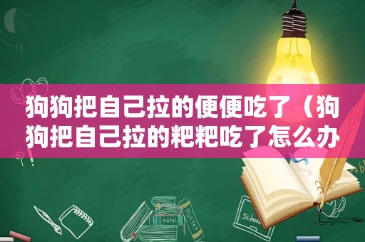 狗狗把自己拉的便便吃了（狗狗把自己拉的粑粑吃了怎么办）