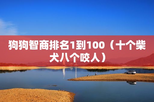 狗狗智商排名1到100（十个柴犬八个咬人）