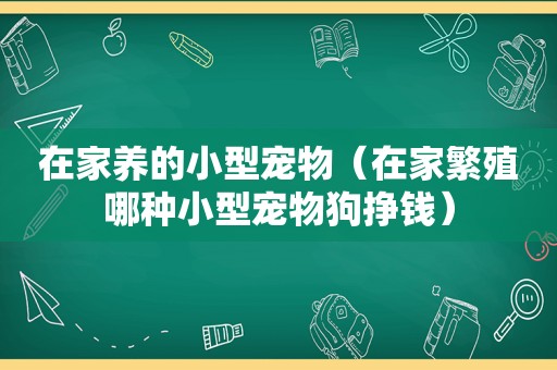 在家养的小型宠物（在家繁殖哪种小型宠物狗挣钱）