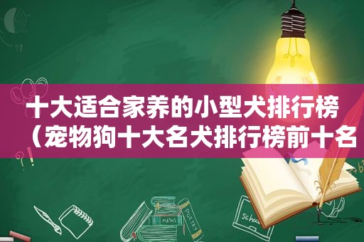 十大适合家养的小型犬排行榜（宠物狗十大名犬排行榜前十名）